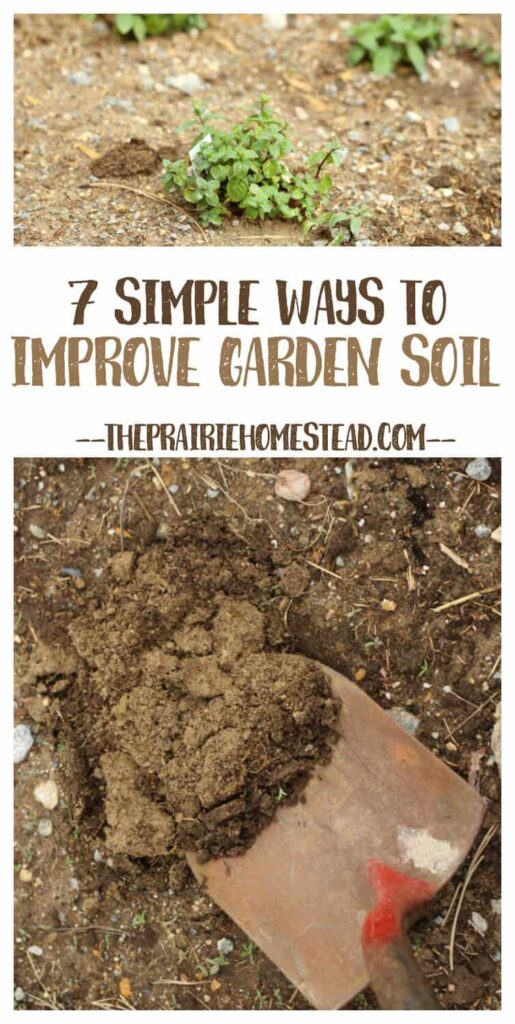How Can I Improve My Garden Soil Naturally