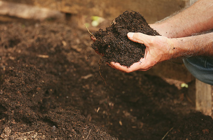 How Can I Improve My Garden Soil Naturally