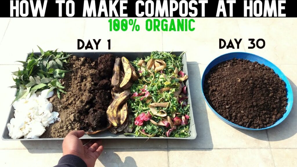 How Can I Make My Own Compost At Home