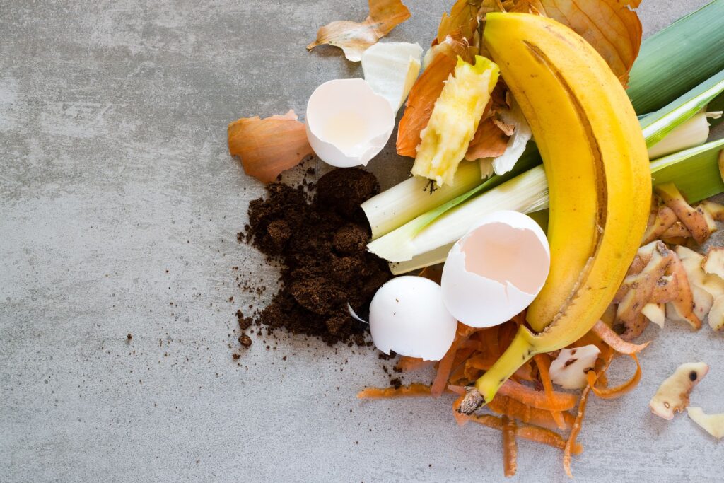 How Can I Make My Own Compost At Home