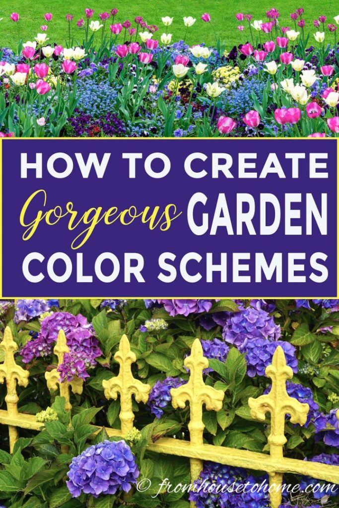 How Do I Create A Harmonious Color Scheme In My Garden