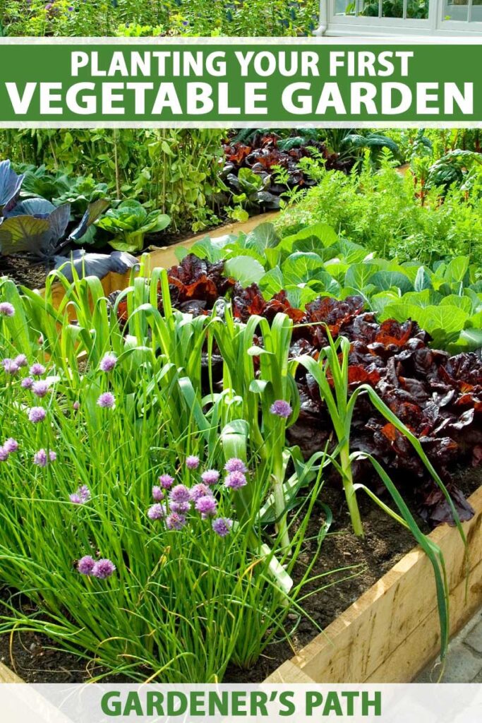 How Do I Start A Home Garden For Beginners