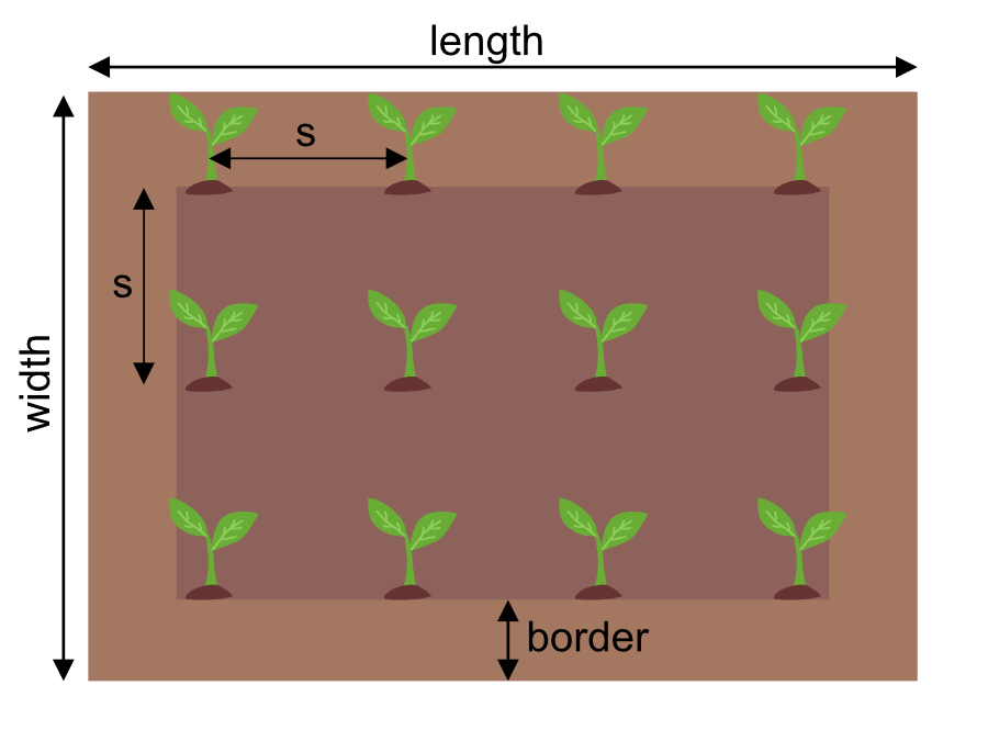 How Much Space Do I Need Between Plants