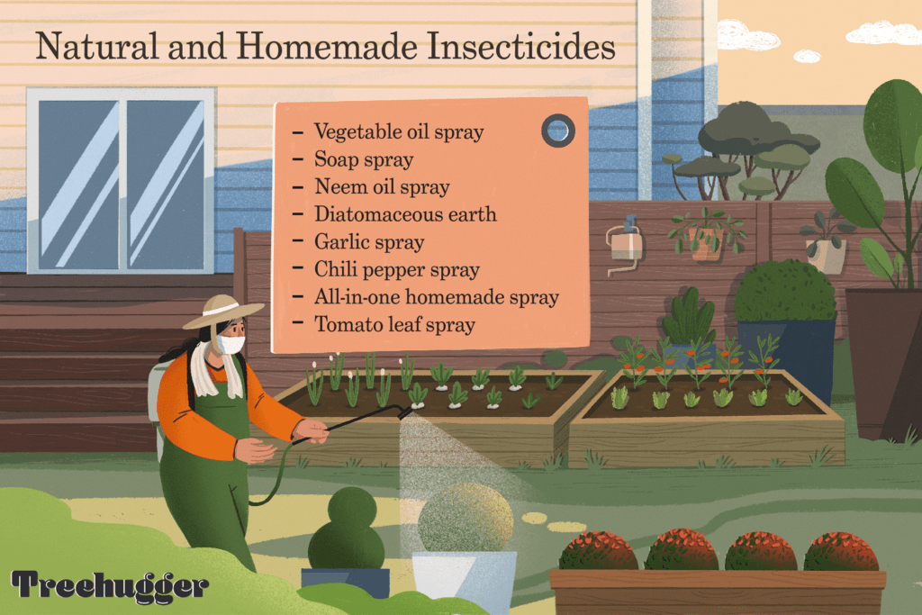 What Are Some Natural Methods For Pest Control In The Garden