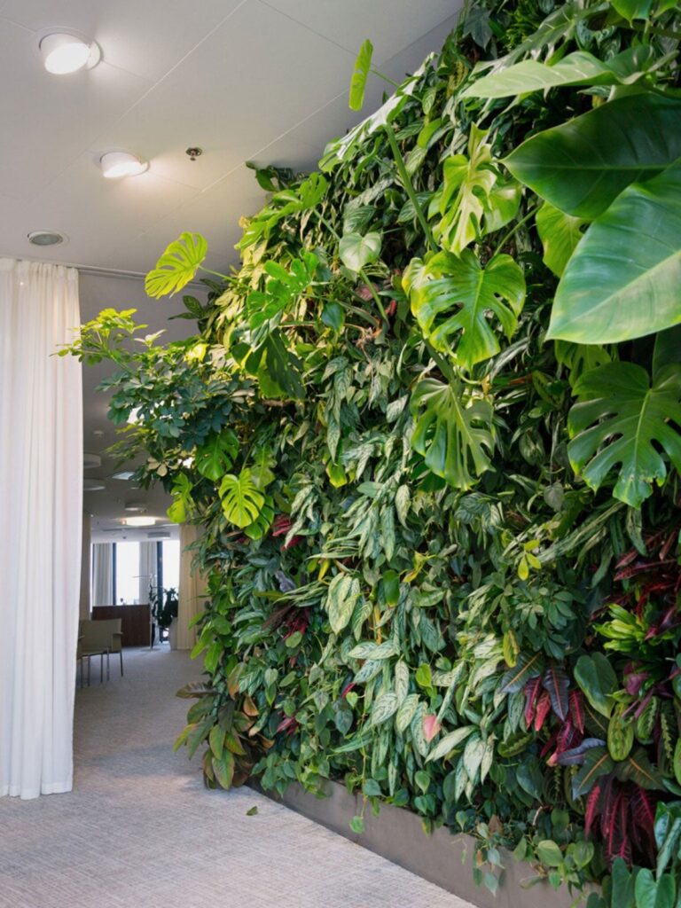 What Are Some Suitable Plants For A Vertical Garden