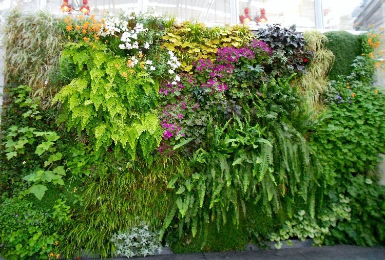 What Are Some Suitable Plants For A Vertical Garden