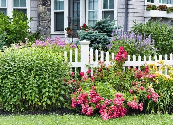 What Are The Best Plants For A Low-maintenance Landscape