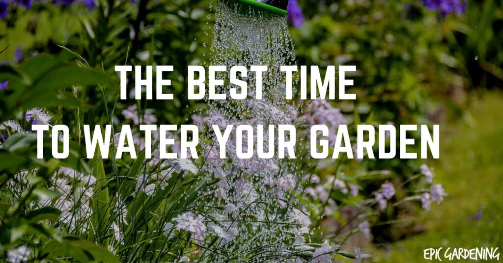 What Is The Best Time Of Day To Water My Garden