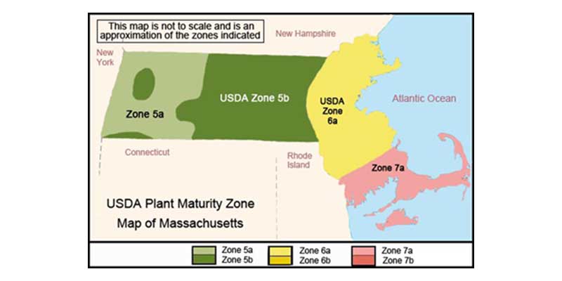 What Gardening Zone Is Massachusetts Part Of