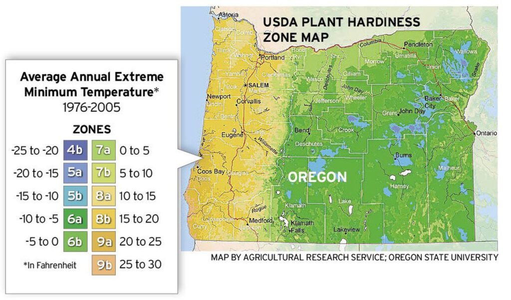What Gardening Zone Is Portland, Oregon In
