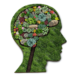 Why Is Gardening Important For Mental Health