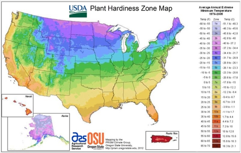 What Gardening Zone Is Minnesota Placed In